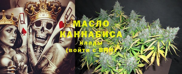 гидропоника Каменка
