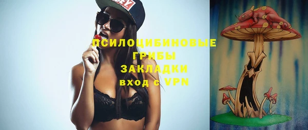 гидропоника Каменка