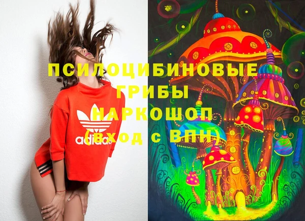 гидропоника Каменка