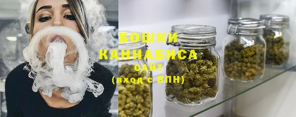 стаф Инсар